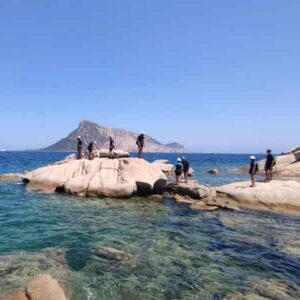 Punta Molara coasteering tour